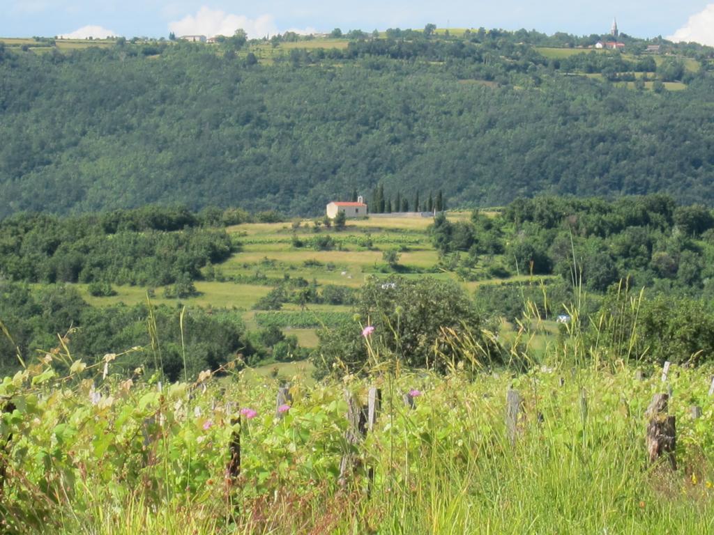 Villa Flori Adriatic Marezige Zimmer foto