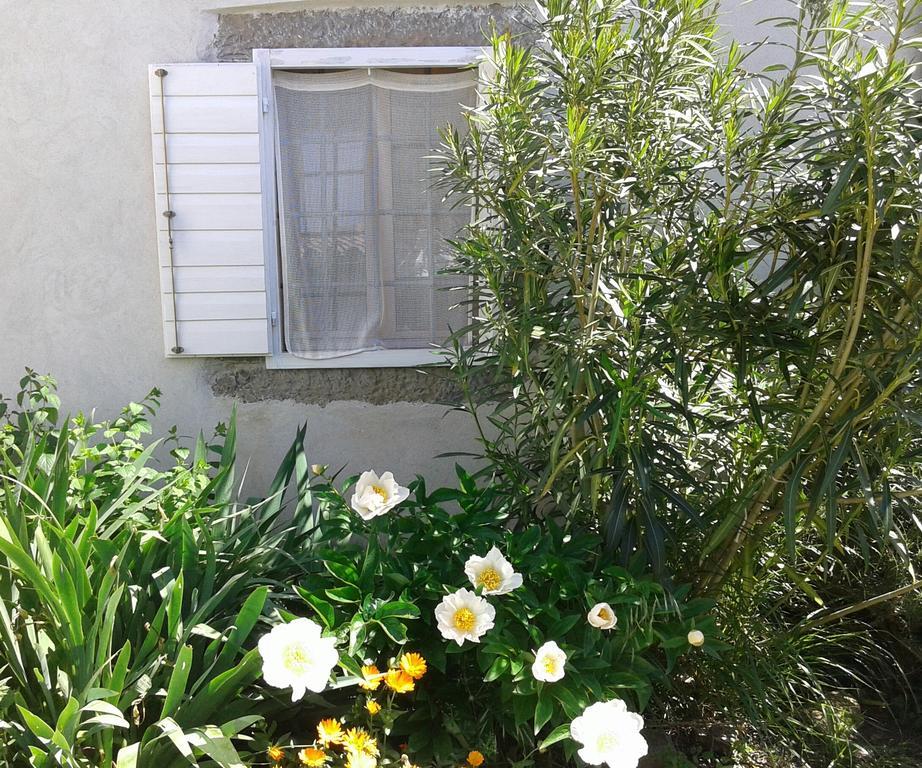 Villa Flori Adriatic Marezige Exterior foto